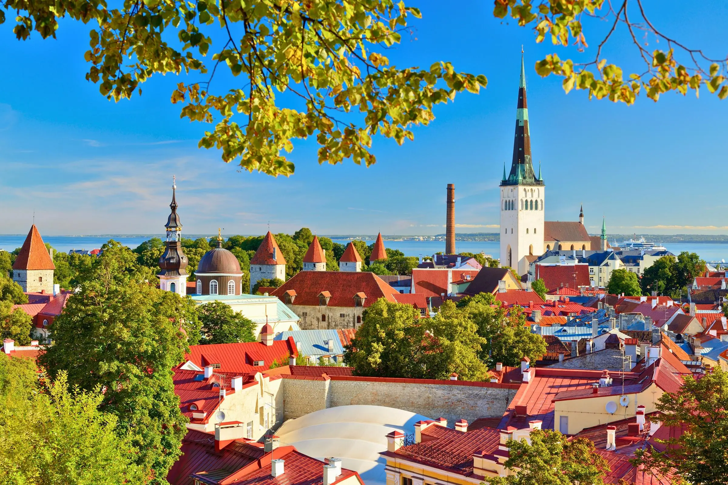 Tallinn Old Town skyline View over the red rooftops of Tallinn Old Town towards the Baltic Sea